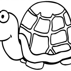 Dichroic Bild Schildkröte