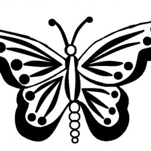 Dichroic Bild Schmetterling