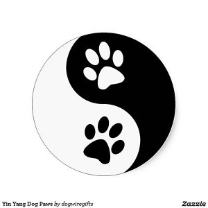 Dichroic Bild Ying Yang mit Pfoten