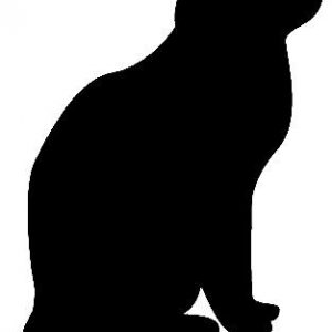 Dichroic Bild Schwarze Katze