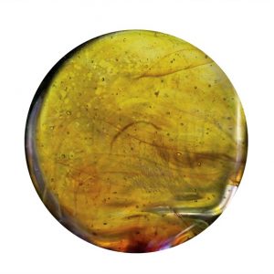 Momka´s Mombo Stab Exotic Citrus-Yellow